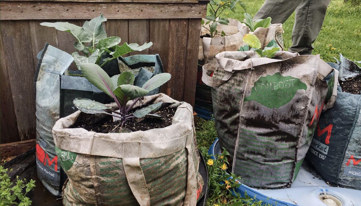 Artboard 8@2x Composting bags